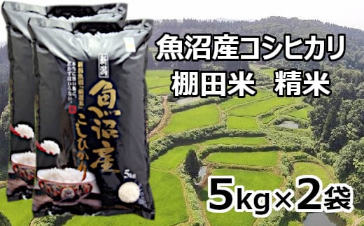 
            S29P515 【先行予約】【令和7年産 新米】魚沼産コシヒカリ棚田米 白米 5kg×2袋 佐藤農場 ※2025年9月下旬以降より順次発送予定
          