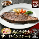 【ふるさと納税】上手に焼ける！！柔らか特大サーロインステーキ 300g×2枚 計600g ｜ 国産 牛肉 肉 お肉 ステーキ 冷凍 栃木県 那須町 〔P-137〕※着日指定不可