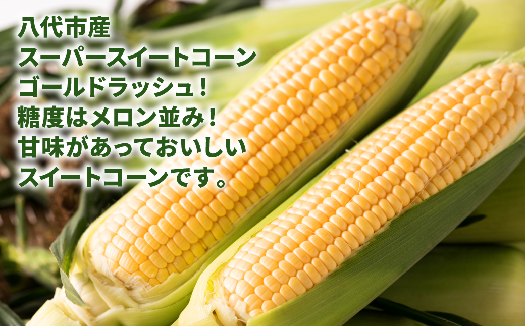 熊本県八代市産 スーパースイートコーン ゴールドラッシュ 4kg スイートコーン とうもろこし 朝採り 高糖度