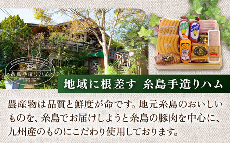 本場ドイツで連続金賞受賞！糸島手造りハムのお試し食べきりセット《糸島》【糸島手造りハム】[AAC007] 贈答 ギフト BBQ 焼肉 お中元 お歳暮 人気 贈り物 おつまみ 熨斗 ウインナー ソーセー