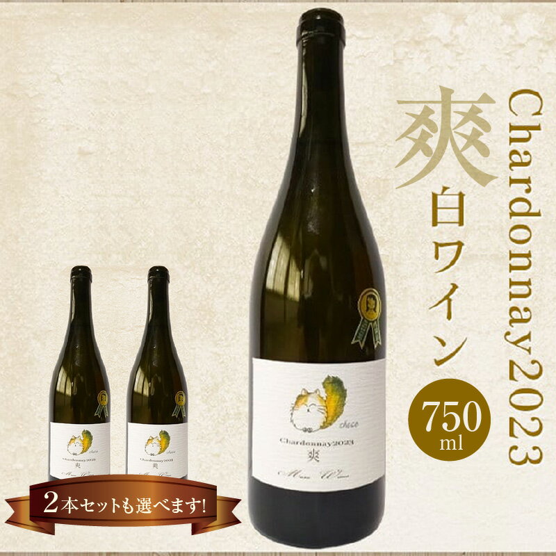 【ふるさと納税】Chardonnay 2023 爽 白ワイン 750ml【選べる本数（1本・2本）】東浦町の耕作放棄地を開墾した畑で大切に育てられたシャルドネから造ったワインです。 シャルドネ 無添加 無濾過 国産 日本ワイン パーティー 亜硫酸塩(酸化防止剤)無添加　送料無料 [AH004]