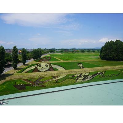 ふるさと納税 鏡石町 かがみいし田んぼアート産の福島県オリジナル品種「天のつぶ」　5kg×2袋 |  | 01