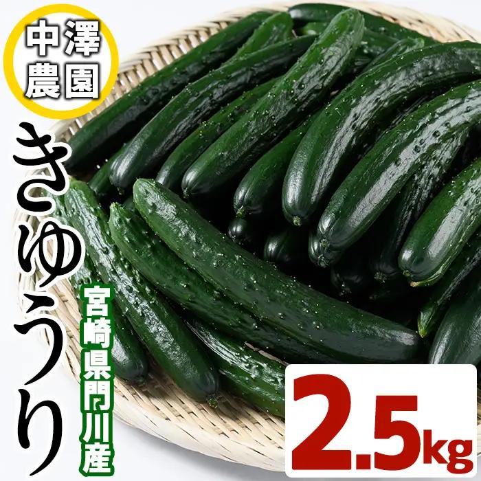 宮崎県産きゅうり(2.5kg)野菜 冷蔵【NS-2】【中澤農園】
