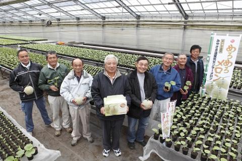 【C004・宮崎ブランドフルーツ】小林市産アールスメロン”めろめろメロン”　青肉2玉セット　3.8kg以上（果実 フルーツ メロン 2024 先行予約 人気 限定 宮崎 小林市）