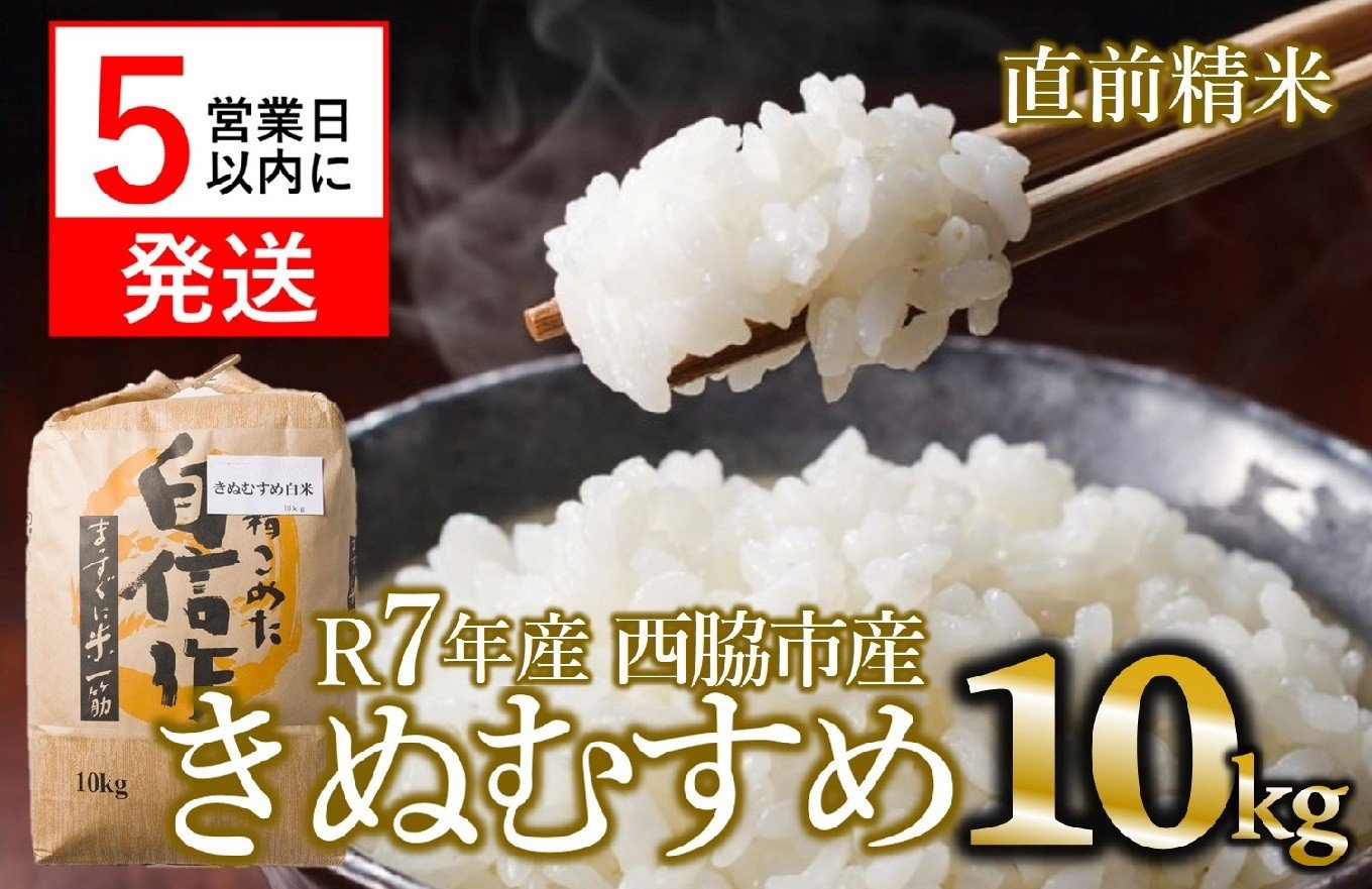 
            【スピード発送】【新米】きぬむすめ 10kg 白米 令和７年産 米 お米 こめ コメ 人気 西脇市産 精米
          