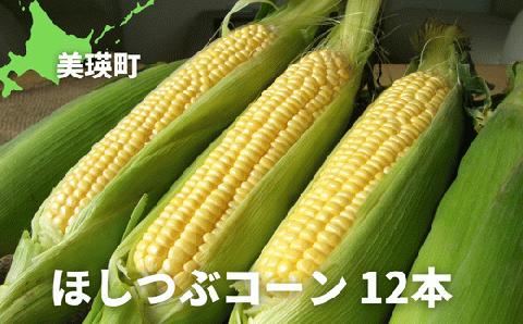 【令和７年産予約受付！】黒木農場　とうもろこし（ほしつぶコーン）１２本[014-77]