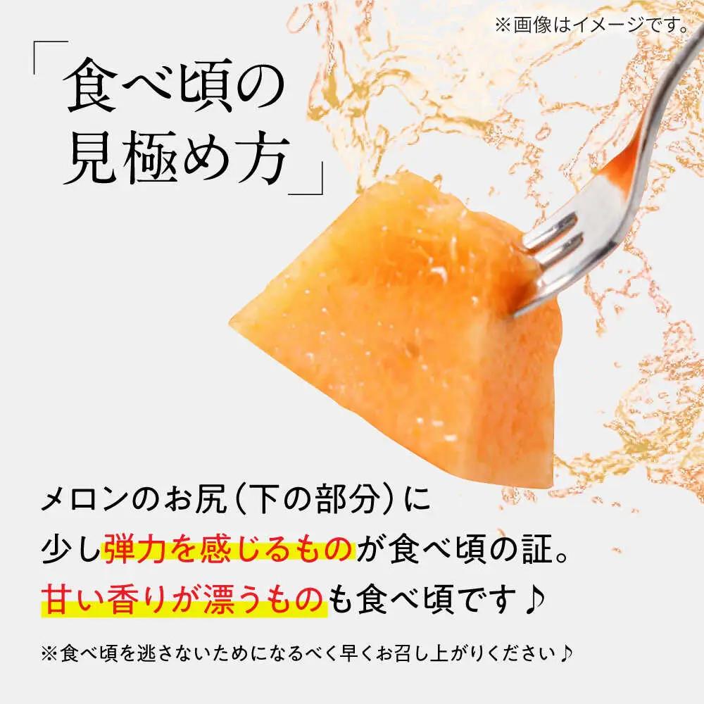 【2027年5月-発送】タカミメロン レッド 1玉 / メロン めろん フルーツ 果物 / 南島原市 / 南島原果物屋[SCV029]