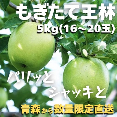 【青森ごのへ産】 パリッと、シャキッとした王林 約5kg(16～20玉)【配送不可地域：離島・沖縄県・中国・四国・九州】