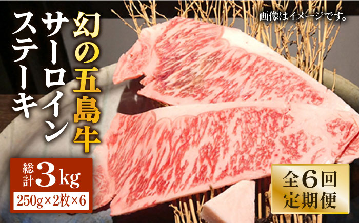 【6回定期便】五島牛 サーロインステーキ500g（250g×2枚） 五島市/ニク勝[PBF016]  サーロイン ステーキ 肉 ジューシー 牛肉 五島牛 国産