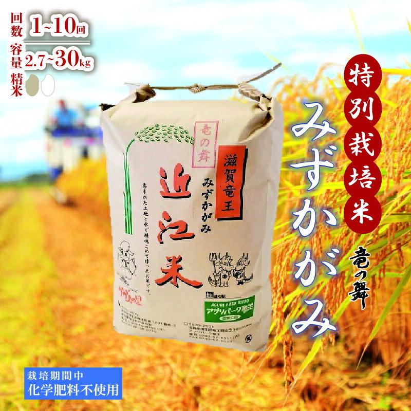 【ふるさと納税】 みずかがみ 白米 2.7kg ~ 27kg 定期便 4回 ~ 10回 4ヶ月 ~10ヶ月 ( 玄米時 3kg 5kg 10kg ～30kg 毎月 2025年産 竜の舞 化学肥料不使用 特別栽培米 国産 安心 安全 近江米 米 お米 白米 お弁当 玄米 産地直送 滋賀県 竜王町 送料無料