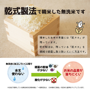 SR0004　【12回定期便】無洗米はえぬき　5kg×12回(計60kg)　農家直送『いいあん米』AG