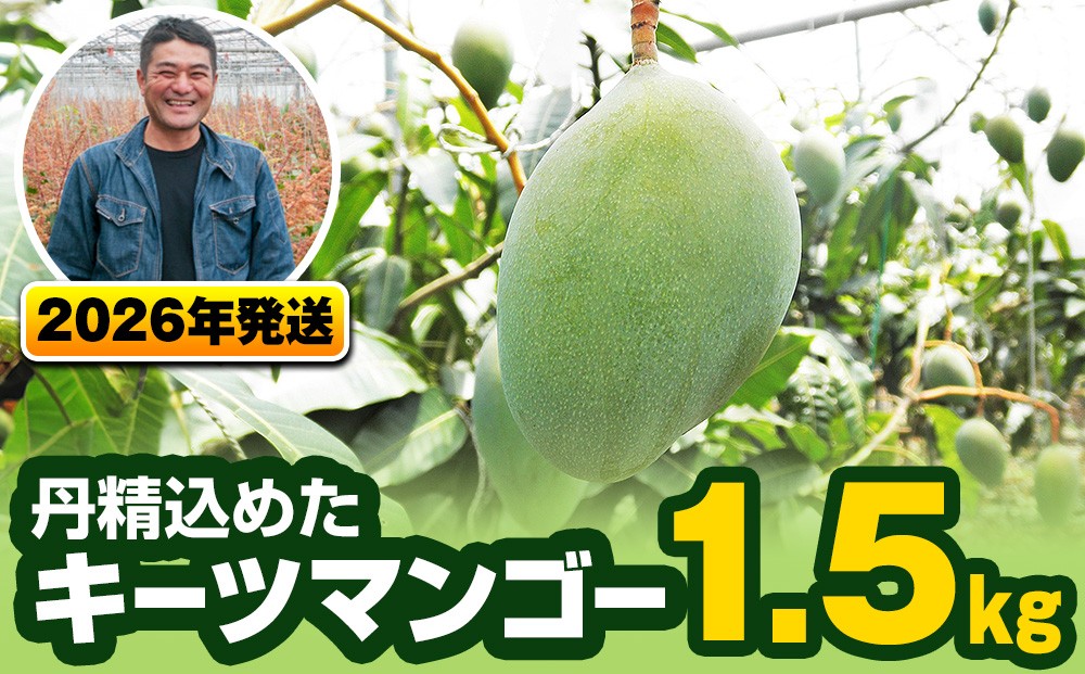 
                  【2026年発送】南風原農園　丹精込めた「キーツマンゴー」1.5kg
                