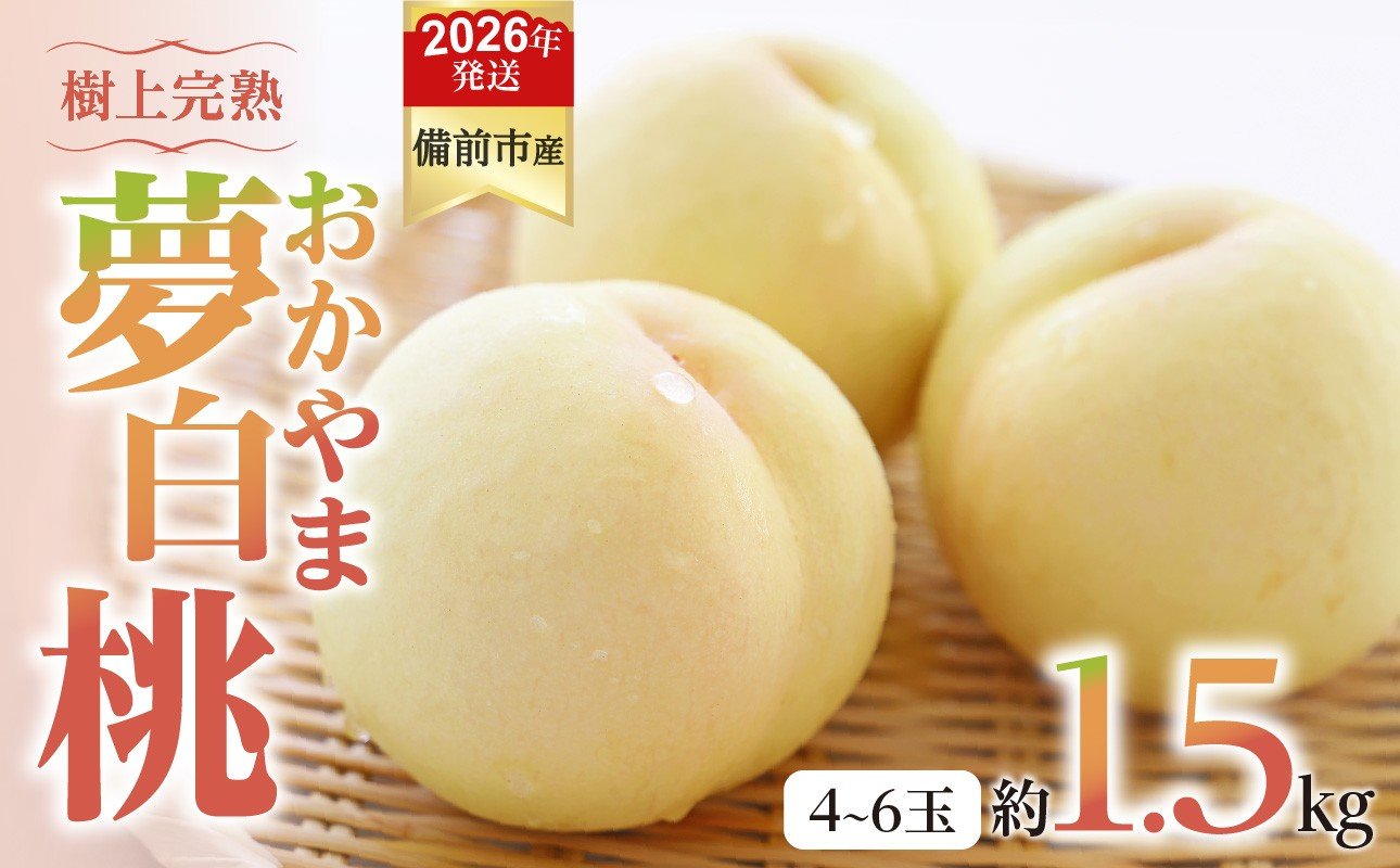 
            【2026年発送分　先行受付開始！】びぜん白桃　おかやま夢白桃　約1.5kg（令和8年7月中旬～7月下旬頃発送）【岡山県備前市産 おかやま夢白桃 約1.5kg（４～６玉目安）】
          
