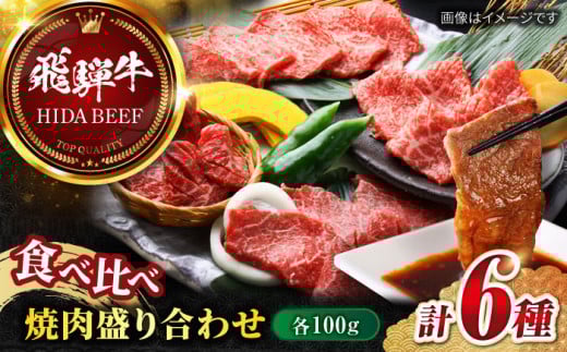【6月発送】【飛騨牛】食べ比べ 焼肉盛り合わせ6種 各100g / 飛騨牛 ひだぎゅう 焼肉 やきにく 牛肉 和牛 ミスジ イチボ 飛騨牛 岐阜市/丸福商店  [ANBO027-6]