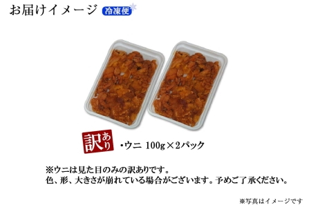 1259.訳あり うに チリ産 冷凍 200g ワケあり ウニ チリ産 冷凍 雲丹 不揃い B級品 うに わけ あり 海鮮 4人前 丼 刺身 自宅用 送料無料 北海道 弟子屈町