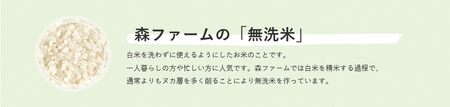 スプリングライス こしひかり (無洗米)10kg_BI40 ※着日指定不可