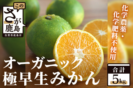 B-150 オーガニックみかん（極早生）約５ｋｇ