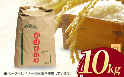 ヒノヒカリ 白米10kg 【角田農園】 [ZEV002]お米 コメ 白米 ごはん ヒノヒカリ 熊本 10kg
