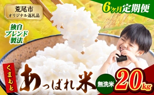【6ヶ月定期便】熊本県産 くまもとあっぱれ米 ブレンド米 20kg 熊本県産 ふるさと納税 無洗米 精米 米 こめ ふるさとのうぜい コメ お米 おこめ《1月から出荷開始》