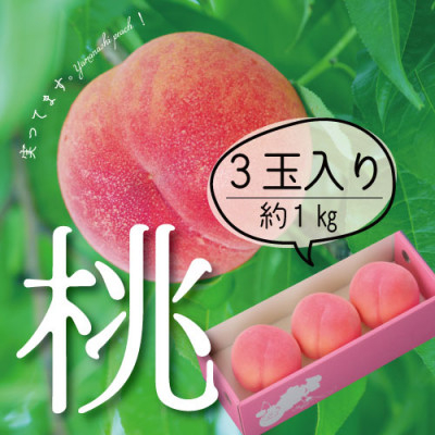 
＜2025年 先行受付＞山梨直送!完熟桃3玉入り ギフト化粧箱入り お試しにちょうどいいサイズ【1485567】
