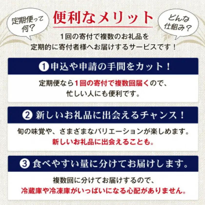 【毎月定期便】オリオン ザ・プレミアム(350ml×24本)全6回【4062059】