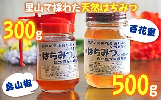 【ふるさと納税】 純国産 はちみつ 計2瓶 君津産 百花蜜 500g 1瓶 & 烏山椒 300g | ハニーディスペンサー入り 1瓶 無添加 送料無料 人気の直売所 農事組合法人なごみの里君津 君津市 きみつ 千葉県