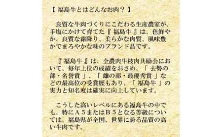No.0997　最高級　黒毛和牛 サーロインステーキ 400g  特選福島牛A5～A4等級