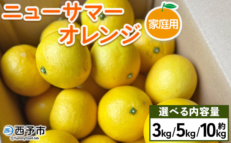 
            ニューサマーオレンジ 家庭用 約3kg／5kg／10kg 訳あり わけあり 自宅用 果物 フルーツ みかん ミカン 蜜柑 オレンジ 柑橘 にゅーさまーおれんじ 選べる 食べて応援 特産品 柑橘園柴田 愛媛県 西予市【常温】
          