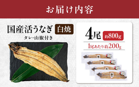  国産活うなぎ4尾（白焼）[AQDF013] 鰻 白焼き 国産 活うなぎ