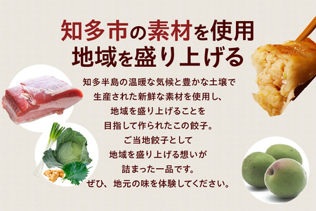 知多の梅しそ餃子・知多餃子セット 餃子食べ比べセット 愛知県産 ご当地餃子 国産 生餃子 梅 梅しそ おかず ぎょうざ ギョウザ 冷凍食品 お惣菜 豚肉 中華 点心 お取り寄せ おつまみ 国産野菜 贈