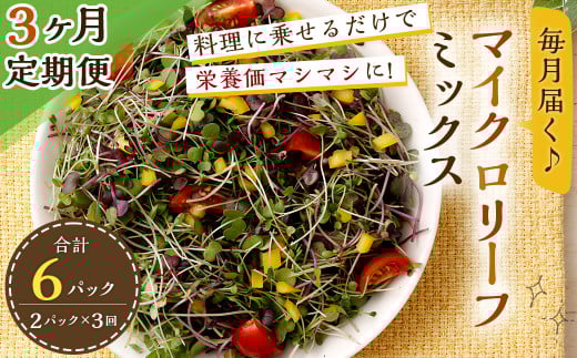 【3回定期便】 マイクロリーフミックス 1回あたり約140g（70g×2個）合計 約420g サラダ 野菜 大分県 九重町産 定期便