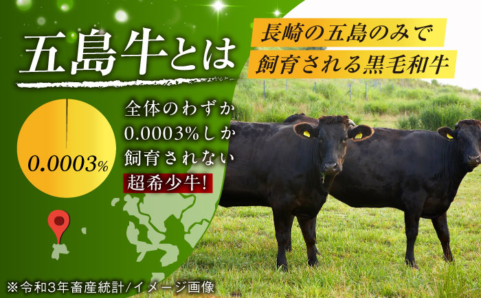 やみつき 五島牛 肩ロース 薄切り 600g A4 A5 焼肉 すき焼き  牛肉 牛 肉 国産 五島市/肉のマルヒサ [PCV004]