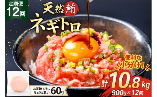 12回 定期便 天然 マグロ ネギトロ まぐろたたき 冷凍 60g 15個 計900g [トライ産業 静岡県 吉田町 22424394] 小分け 個包装 まぐろのたたき 鮪 まぐろ ネギトロ丼 ねぎとろ マグロたたき