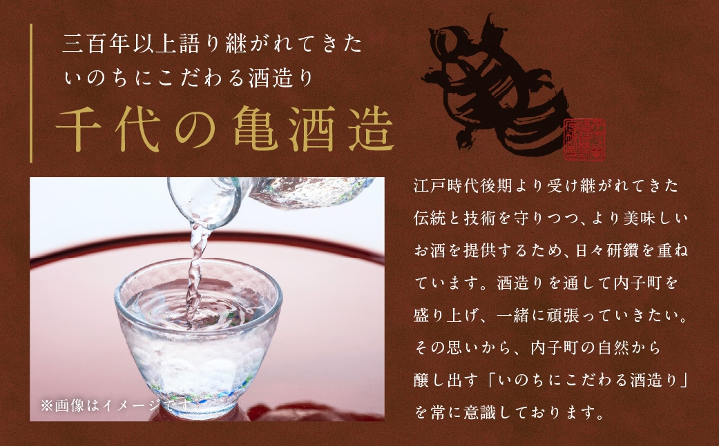 媛酒-himeshu-純米大吟醸 720ml お酒 酒 さけ おさけ 愛媛県【えひめの町（超）推し！（内子町）】（402）