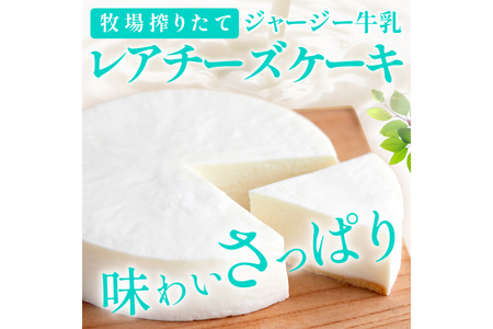 牧場のチーズケーキ（生）1個　（レアチーズケーキ チーズケーキ チーズケーキ）