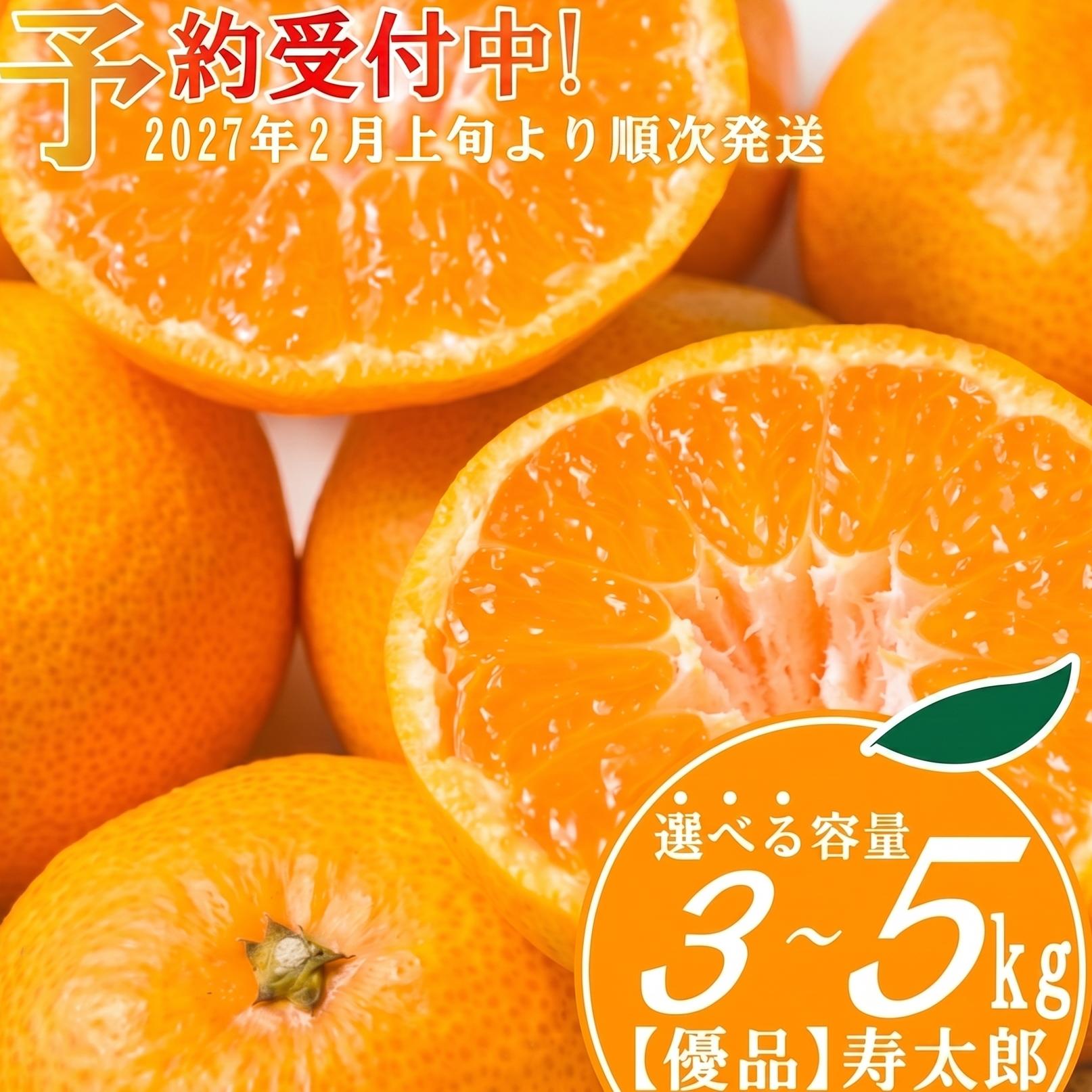 
                  【予約受付】 優品 寿太郎 みかん 選べる 容量 3kg ～ 5kg 産地直送 柑橘 フルーツ 果物 蜜柑  時期 旬 季節限定 西浦 おいしい 丸榮 国産 静岡 沼津
                