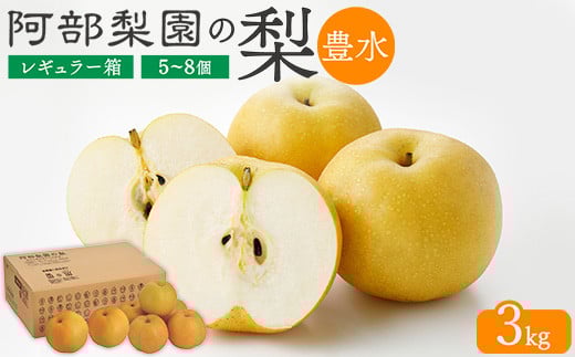 
            阿部梨園の梨（3kg　レギュラー箱）豊水　※離島への配送不可　※2025年9月上旬～9月下旬頃に順次発送予定
          