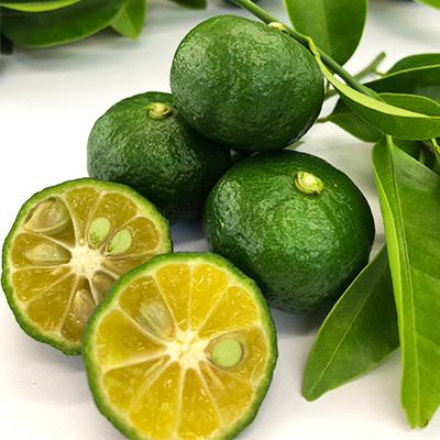 ふるさと納税 伊仙町 徳之島産 豚メンチカツ 島唐辛子 ヤマ・シークニン 10個入り×2袋 【絆ファーム】 |  | 02