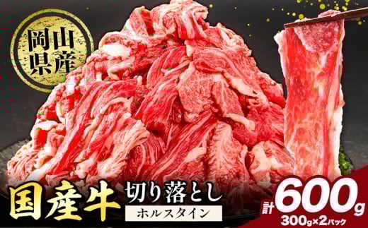 牛肉 肉 国産牛 切り落とし ホルスタイン 大容量 小分け 600g(300g×2) 《30日以内に出荷予定(土日祝除く)》岡山県産 岡山県 矢掛市 お肉 にく カレー 牛丼 牛肉 切り落し 小分け 切落し 牛肉 小分け 牛肉