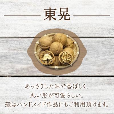ふるさと納税 東御市 2026年産 長野県東御市産 殻付き信濃くるみ 500g(品種 東晃) |  | 01