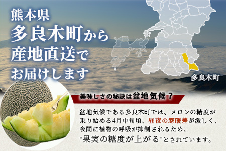 【2027年4月中旬～発送 先行予約】肥後グリーンメロン 2～4玉(合計約4kg) メロン フルーツ 果物 108-0502