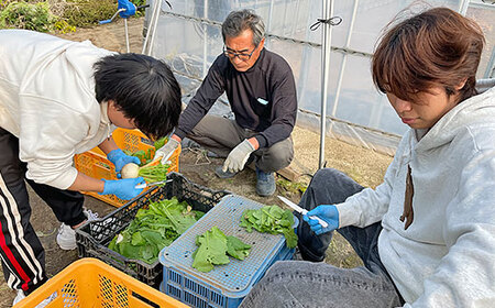 新潟食料農業大学への応援（返礼品の送付はございません）