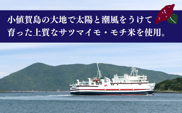 【6回定期便】カンコロチップス　プレーン　小袋　（６袋入り）　しまうま商会　【小値賀町】 [DAB075]