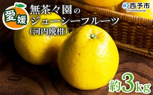 ＜無茶々園のジューシーフルーツ（河内晩柑）約3kg＞ 果物 フルーツ 選べる内容量 かわちばんかん みかん ミカン 蜜柑 柑橘 期間限定 季節限定 食べて応援 特産品 愛媛県 西予市 【常温】