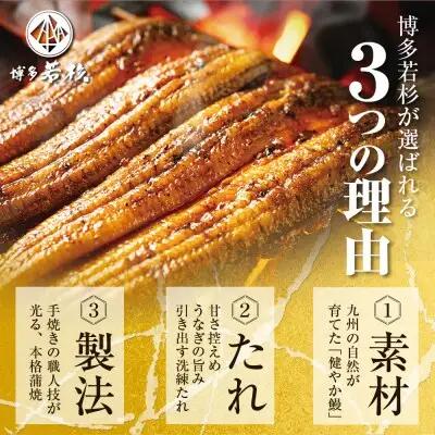 Z61-69 健やか鰻 国産うなぎ蒲焼（無頭）6尾（計930g以上） うなぎ