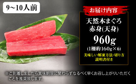 極上！たね熟天然本まぐろ赤身(960g) 天然 マグロ 鮪 赤身 刺身 魚 魚介 大阪府高槻市/本まぐろ直売所[AOCE006]