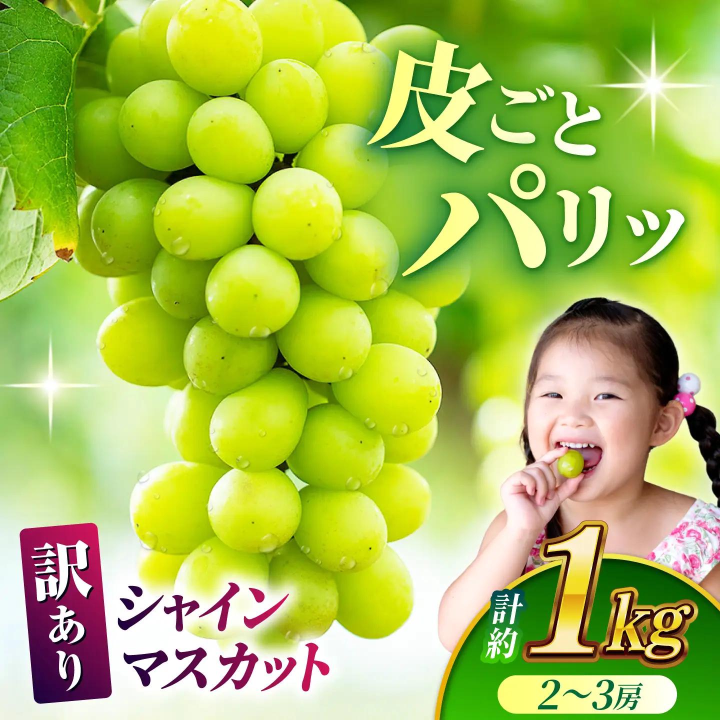 【訳あり】 シャインマスカット 約1kg(2?3房)【合同会社 社方園】[ZBZ028]