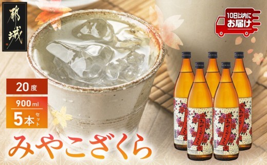 
【大浦酒造】みやこざくら(20度)900ml×5本 ≪みやこんじょ特急便≫_MJ-0770_(都城市) 甕壷仕込み 本格焼酎 華やかな香り 五合瓶
