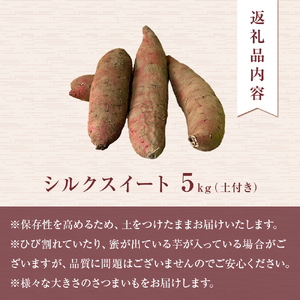 【先行予約】＜シルクスイート＞富山県産 さつまいも 5kg 【2025年12月以降順次発送】 富山県 氷見市 サツマイモ 自然豊か シルクスイート なめらか