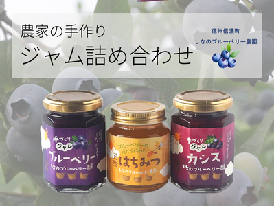 しなのブルーベリー農園「信濃町産ジャム詰め合わせ」 ブルーベリージャム150g、カシスジャム150g、ブルーベリーの花の非加熱はちみつ160gの3個セット【長野県信濃町／しなのブルーベリー農園】